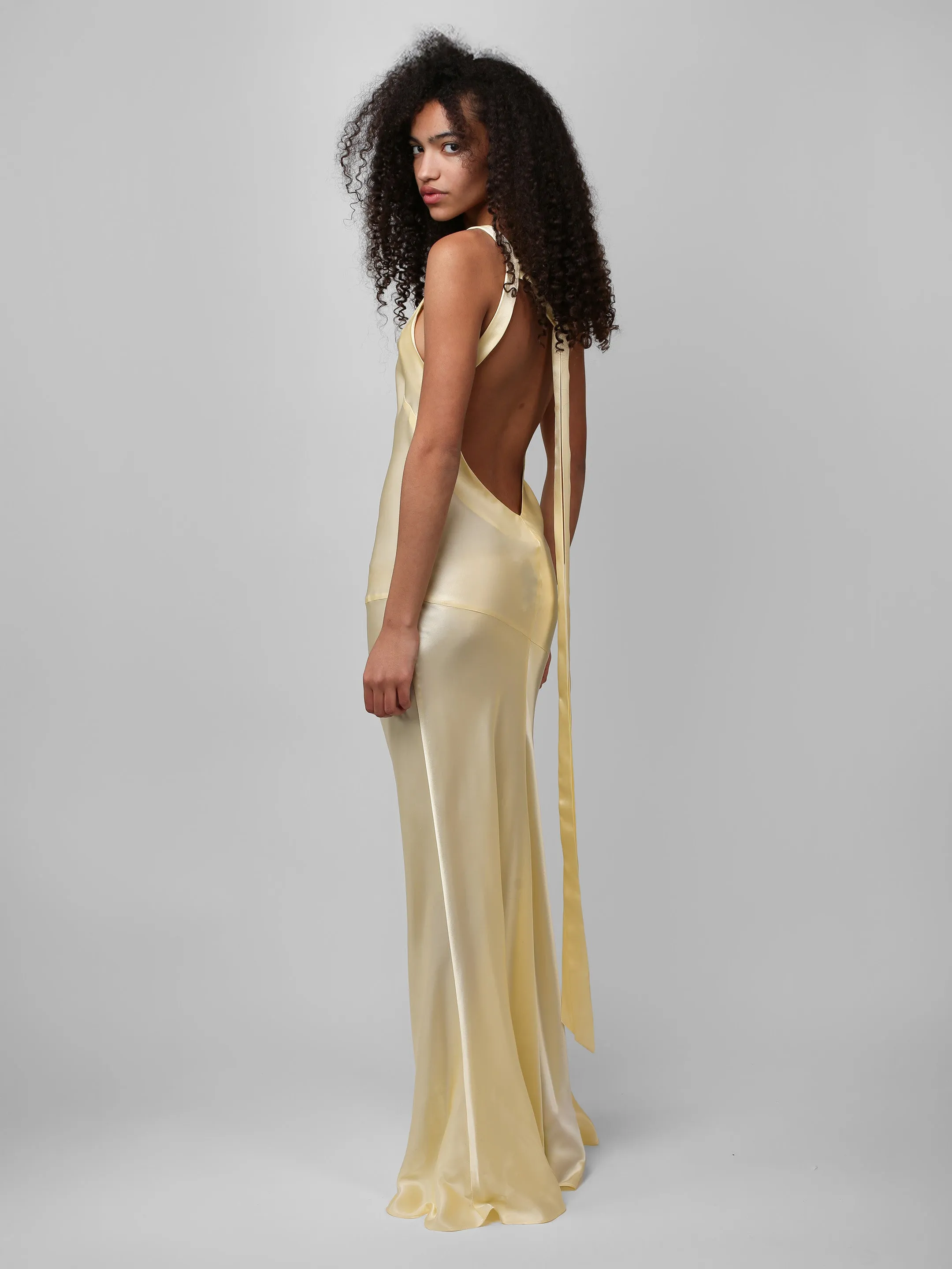 Devon Gown - Yellow sold by Dana Foley NYC product image thumbnail 3