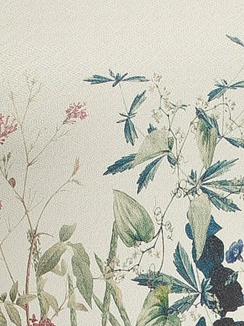 Short-sleeve semi-fitted tunic sold by Claire France product image thumbnail 4