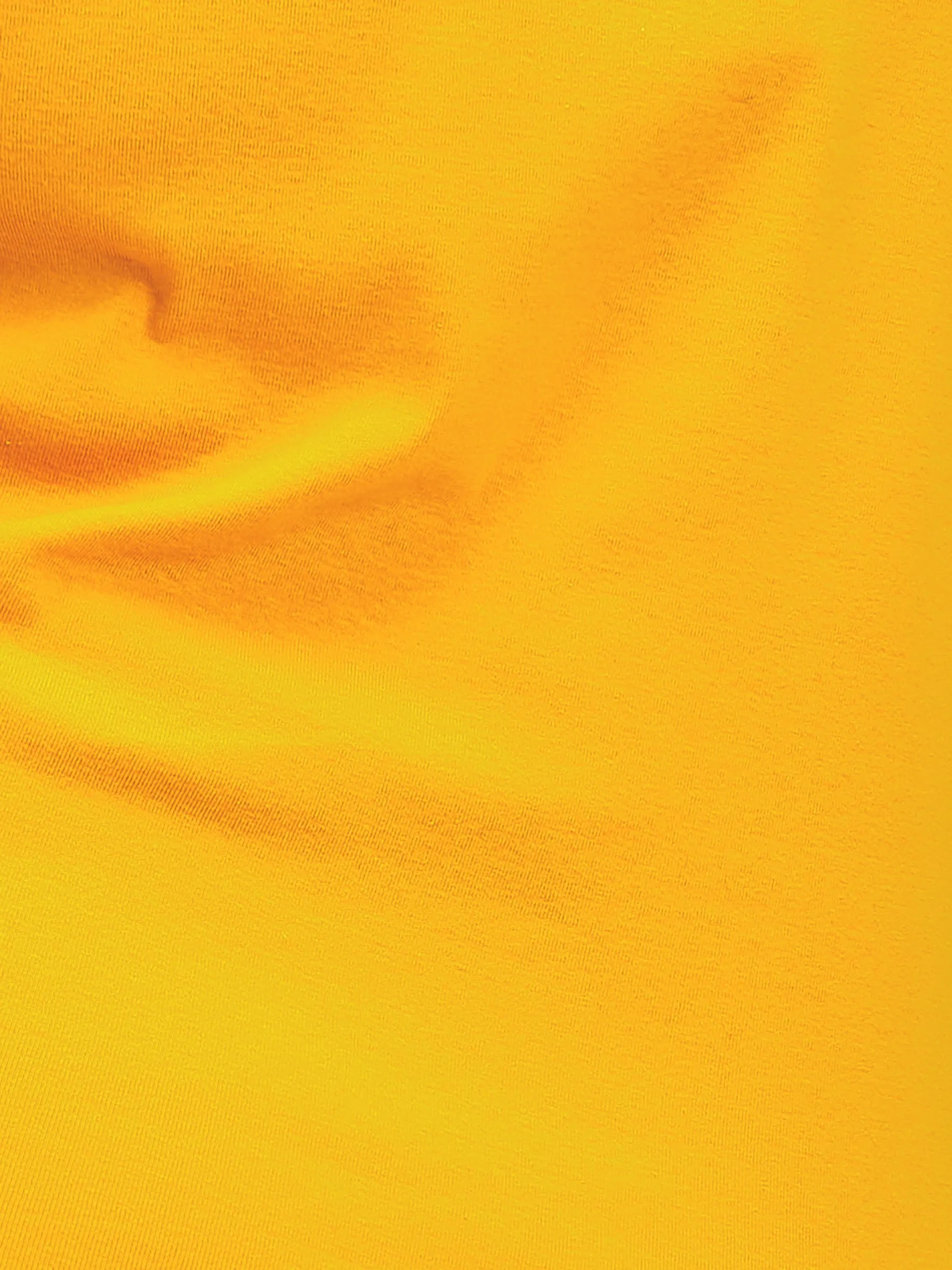 Short-sleeve semi-fitted t-shirt sold by Claire France product image thumbnail 4