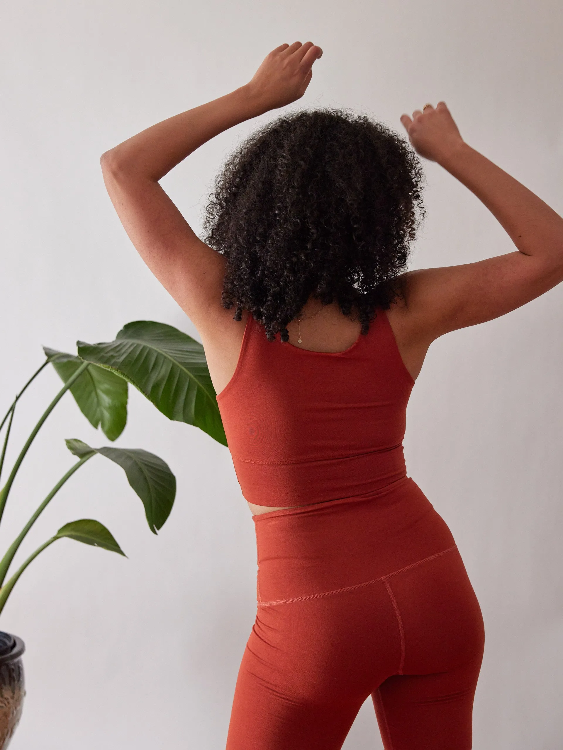 TERRA ANDIE BRA sold by Free Label product image thumbnail 3