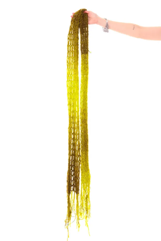 SOLD! sold by Tunnel Vision