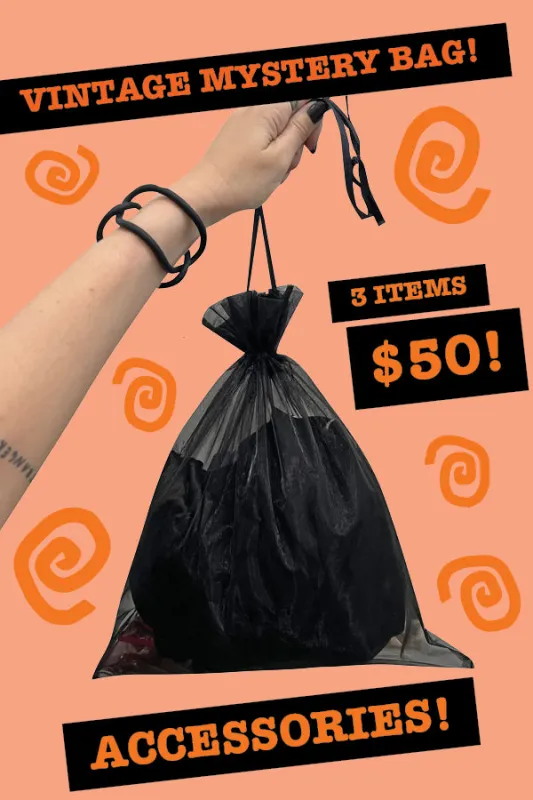 Vintage Accessory Mystery Bag! sold by Tunnel Vision