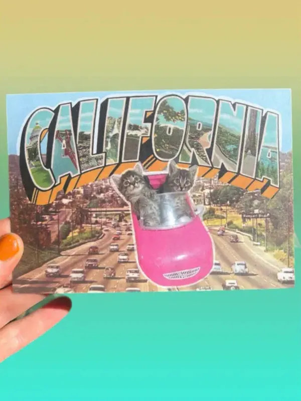 California Freeway Cats Postcard sold by Nooworks
