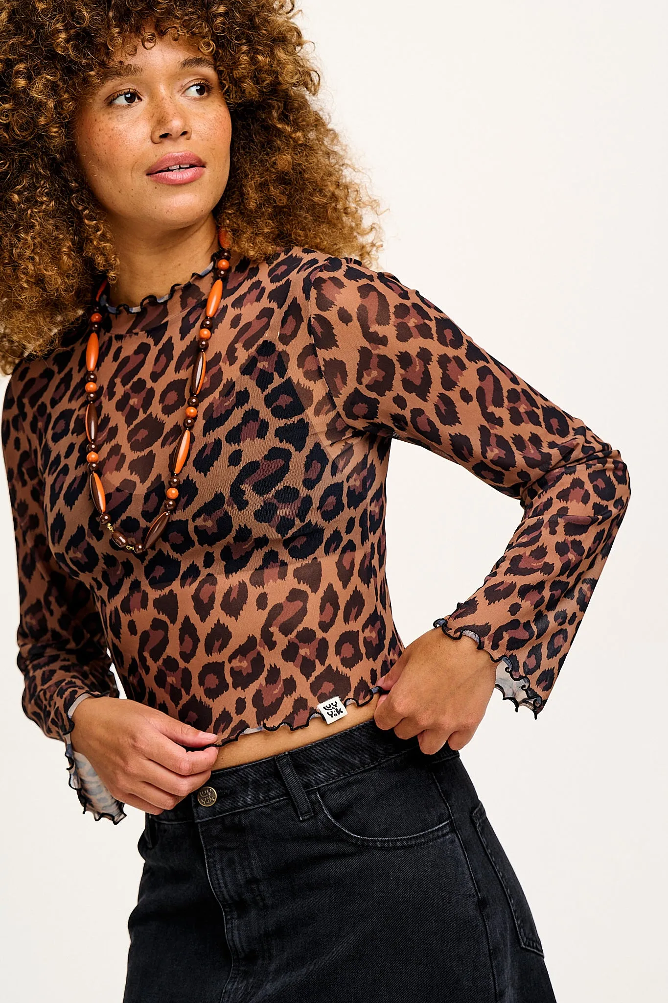 Perrie - Long Sleeve Mesh Top in Leopard Print sold by Lucy & Yak product image thumbnail 5