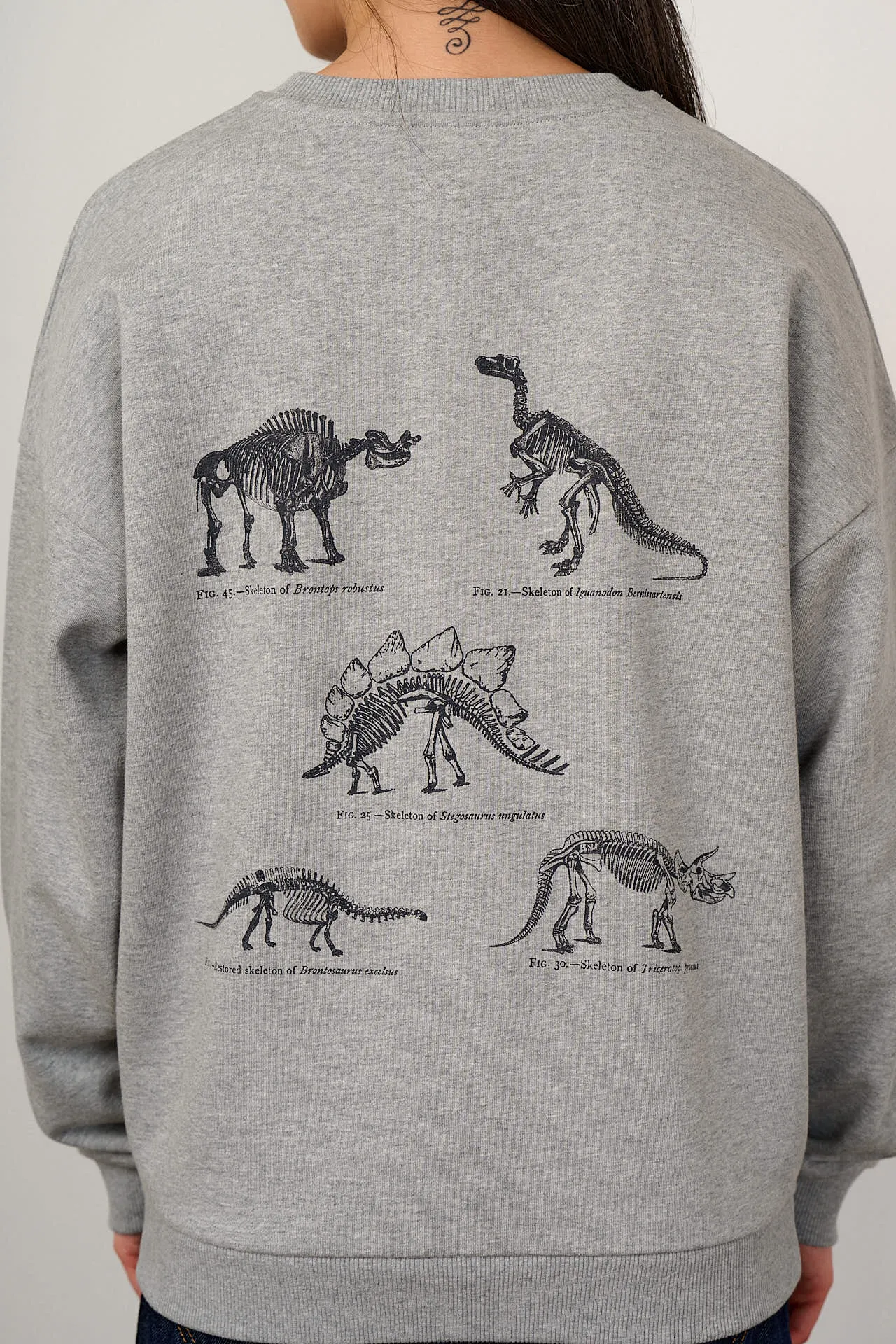 L.E. Sutton - Cotton Oversized Sweatshirt in Dinosaur Natural History Museum & Yak Print sold by Lucy & Yak product image thumbnail 2