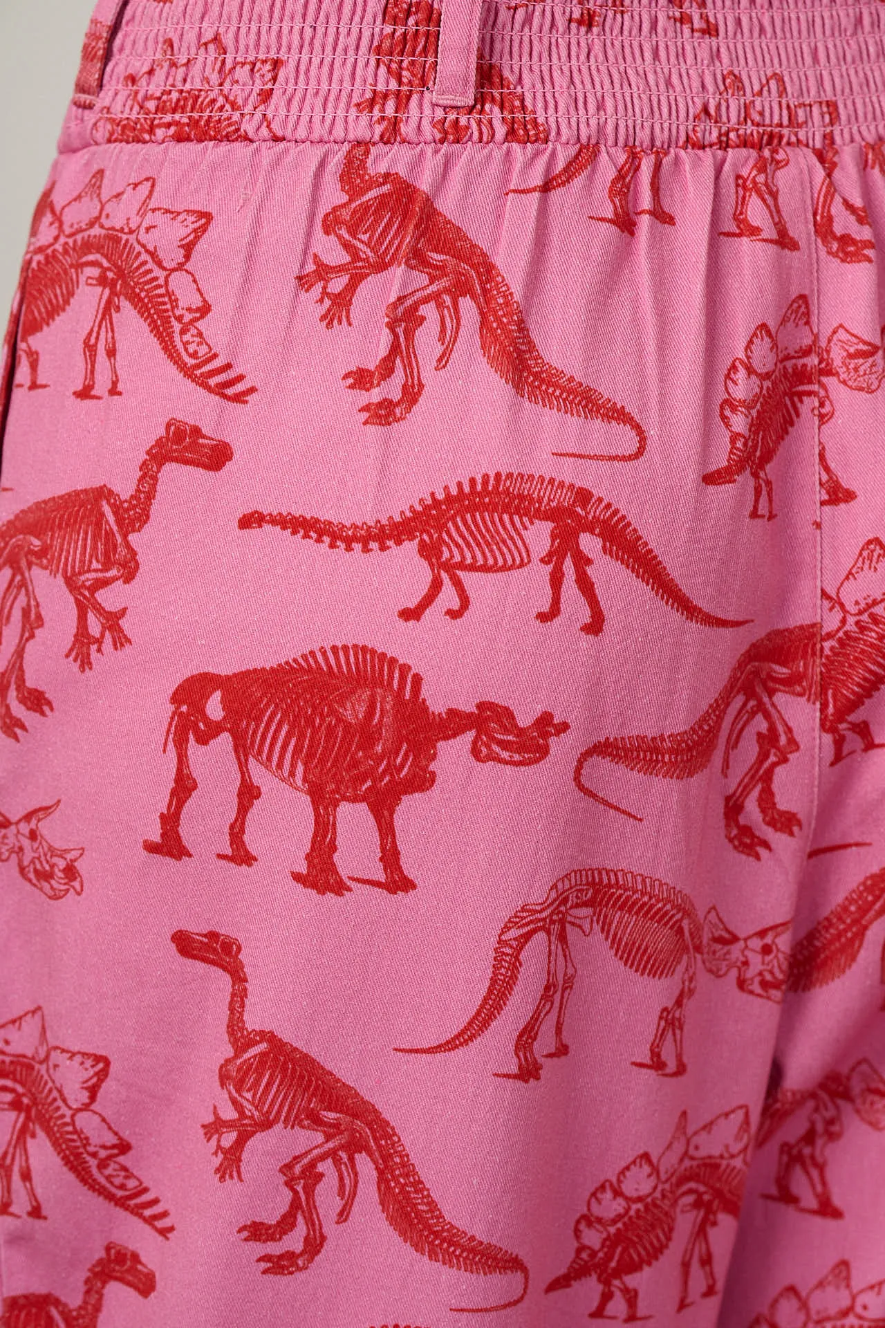 L.E. Alexa - Cotton Trousers in Pink Dinosaur Natural History Museum & Yak sold by Lucy & Yak product image thumbnail 3