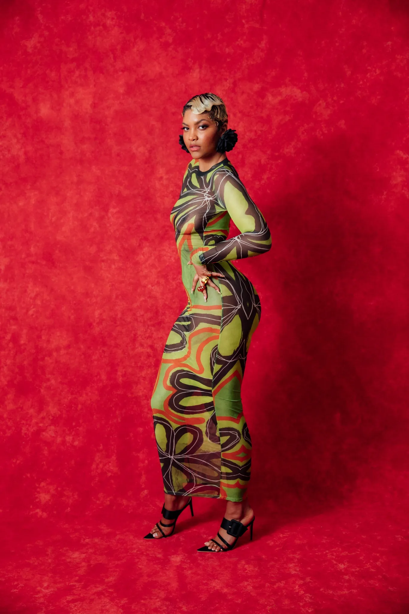 Sadie Crew Neck Long Sleeve Printed Mesh Dress sold by Kai Collective product image thumbnail 3
