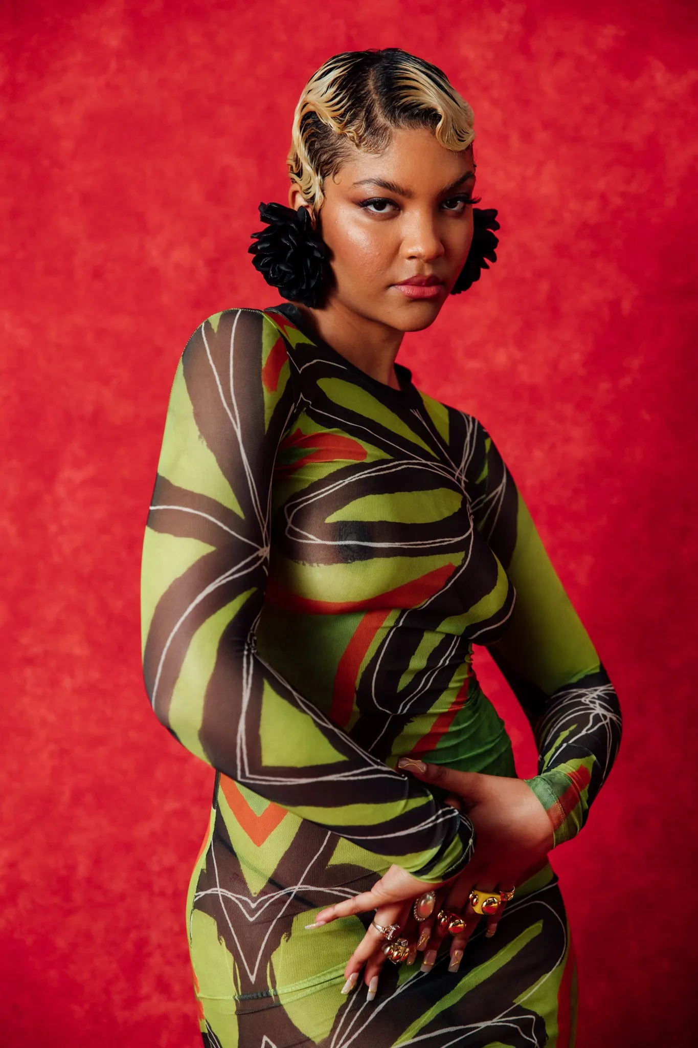 Sadie Crew Neck Long Sleeve Printed Mesh Dress sold by Kai Collective product image thumbnail 4