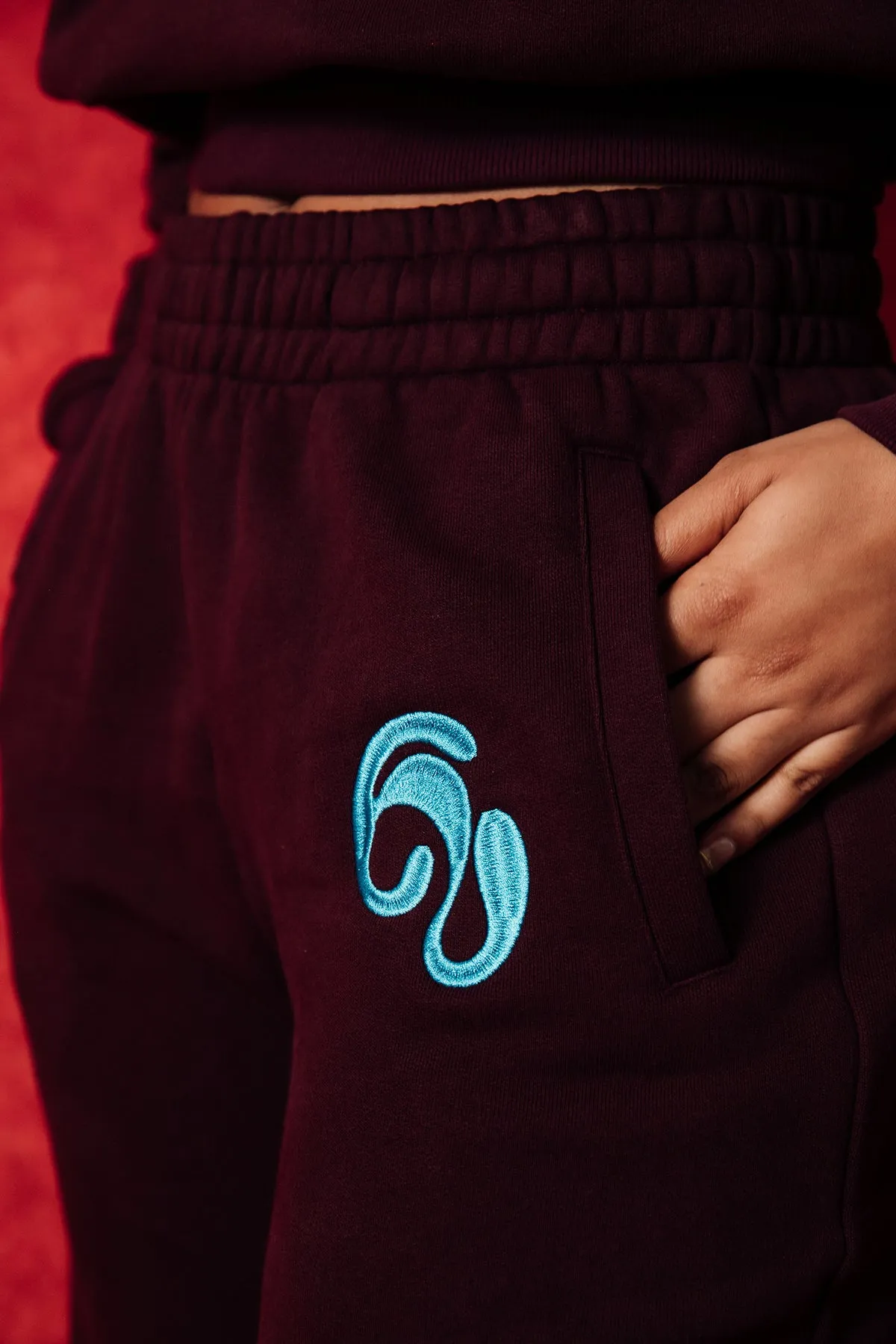 Kaia Logo Embroidered Cotton Wide Leg Sweatpants - Burgundy sold by Kai Collective product image thumbnail 4