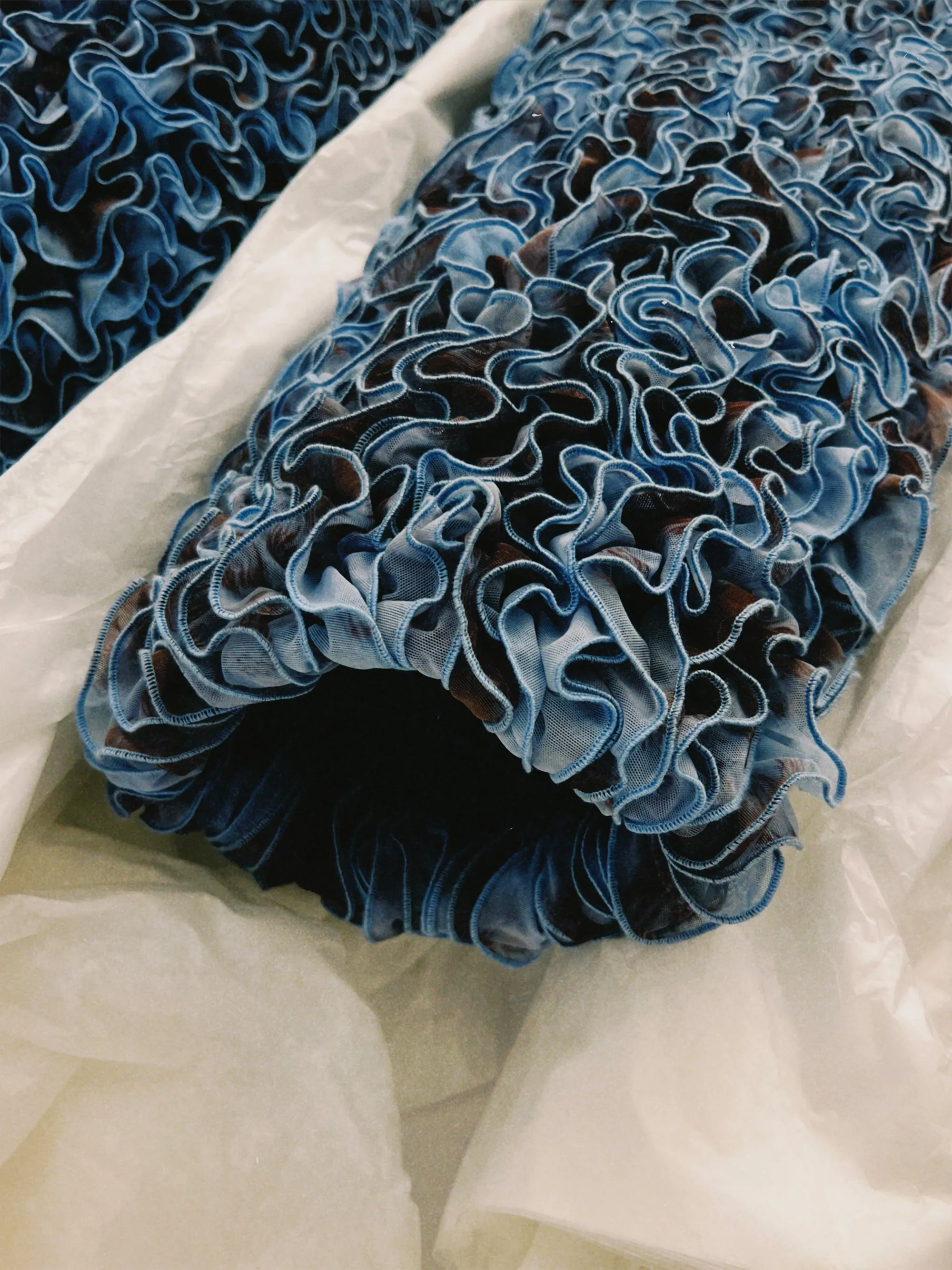 SS25 Sample – Blue & Brown Ruffled Trousers sold by Ester Manas product image thumbnail 2