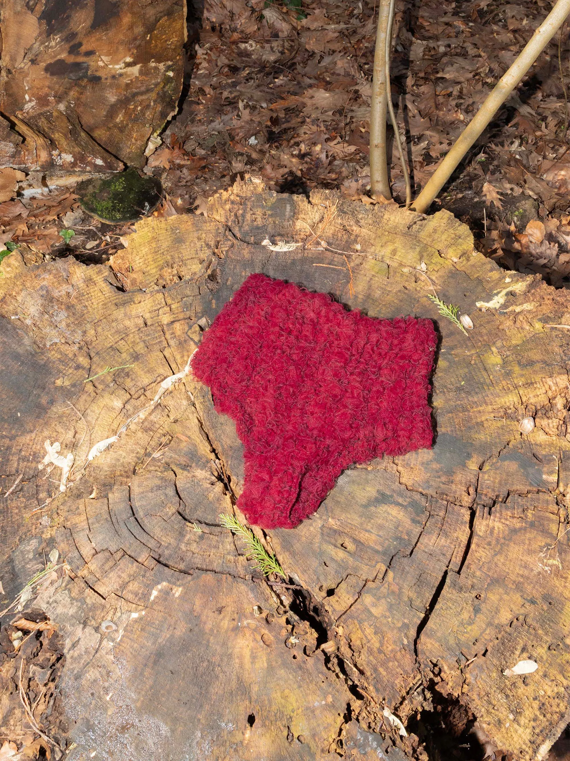 Mesh & Wool Brief sold by Ester Manas product image thumbnail 2