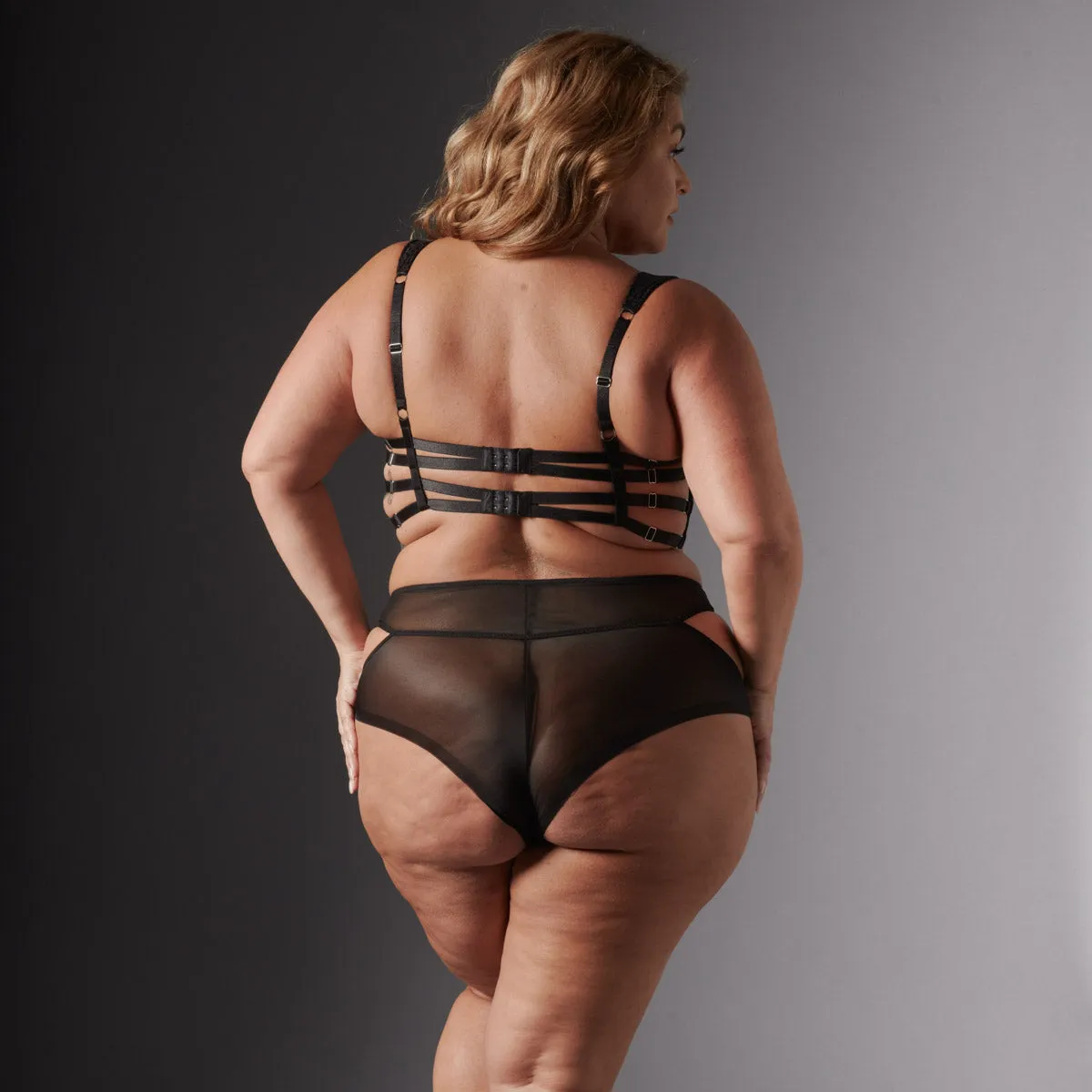 Prowess Brief - FINAL SALE sold by Thistle and Spire product image thumbnail 4