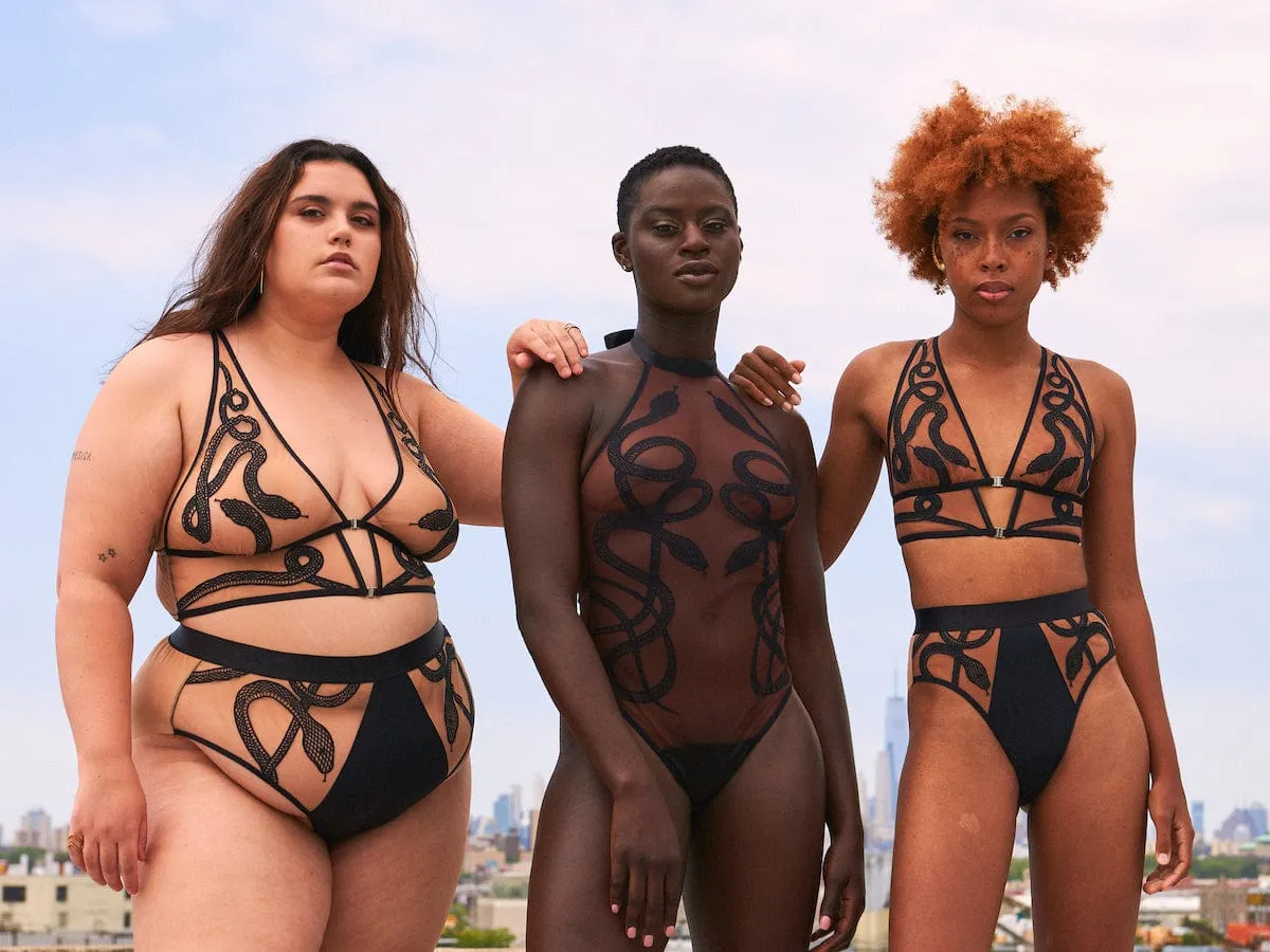 Medusa High-Waisted Bikini - Espresso sold by Thistle and Spire product image thumbnail 4