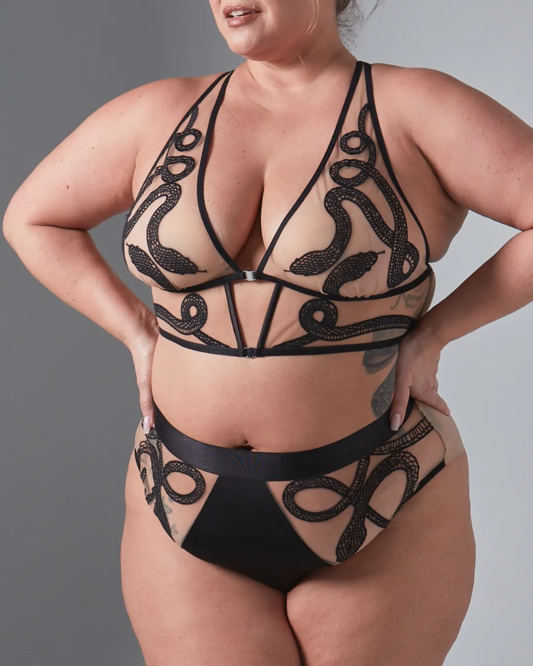Medusa Set - Butterscotch sold by Thistle and Spire product image thumbnail 4