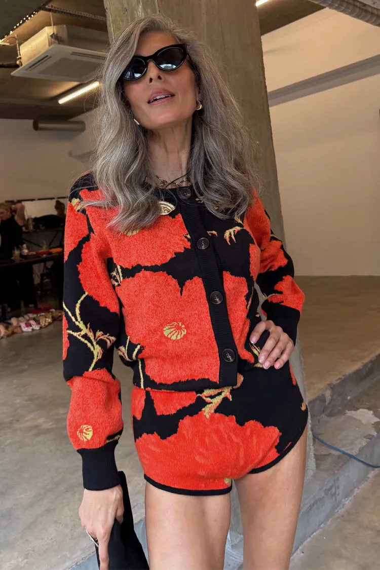 Black Poppy Hot Pants sold by Never Fully Dressed product image thumbnail 5