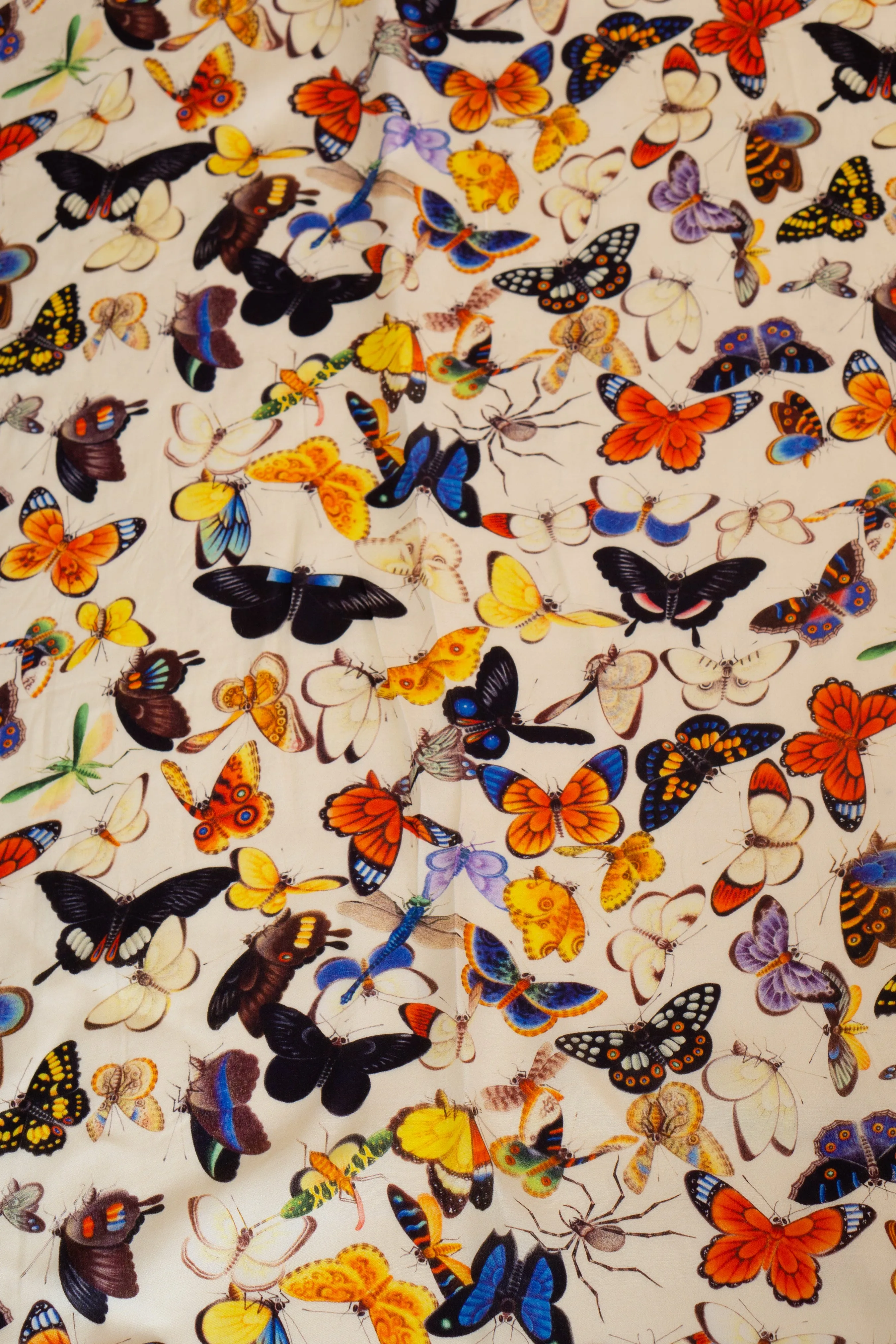 Mythic Bodysuit sold by Samantha Pleet product image thumbnail 4