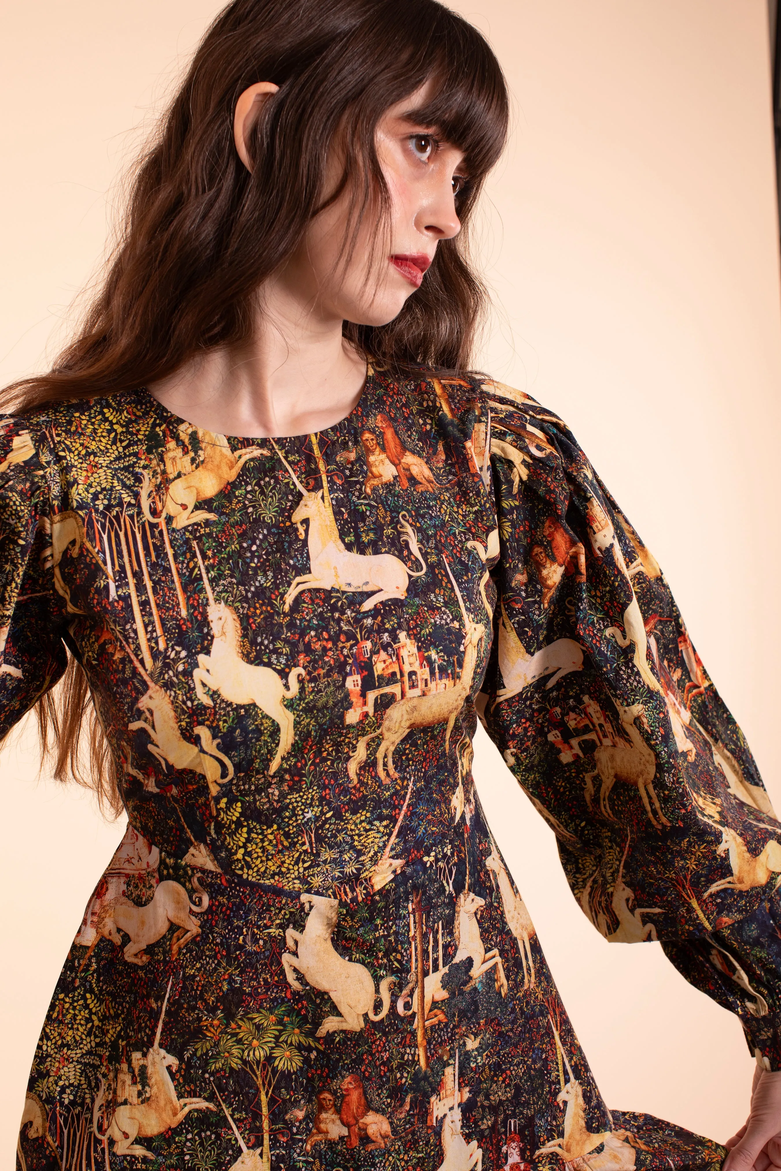 Rosemary Dress - Midnight Tapestry sold by Samantha Pleet product image thumbnail 2