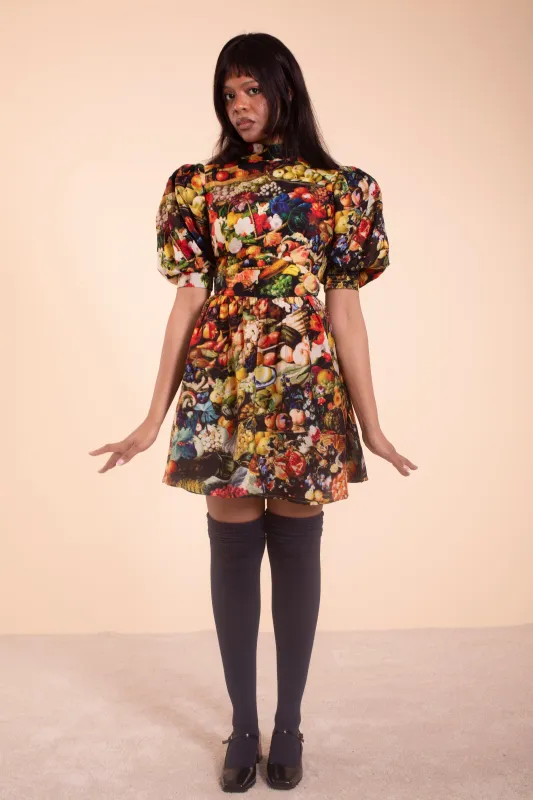 Dana Dress - Harvest made by Samantha Pleet