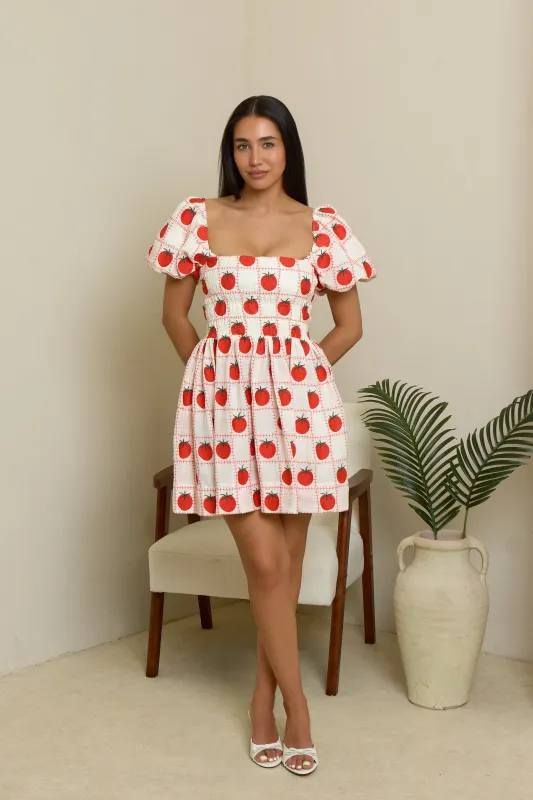 Olive Mini Dress - Embroidered Tomato made by Molby the Label
