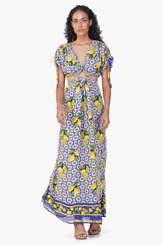 Citrus Lemon Lurex Print Dress sold by America & Beyond