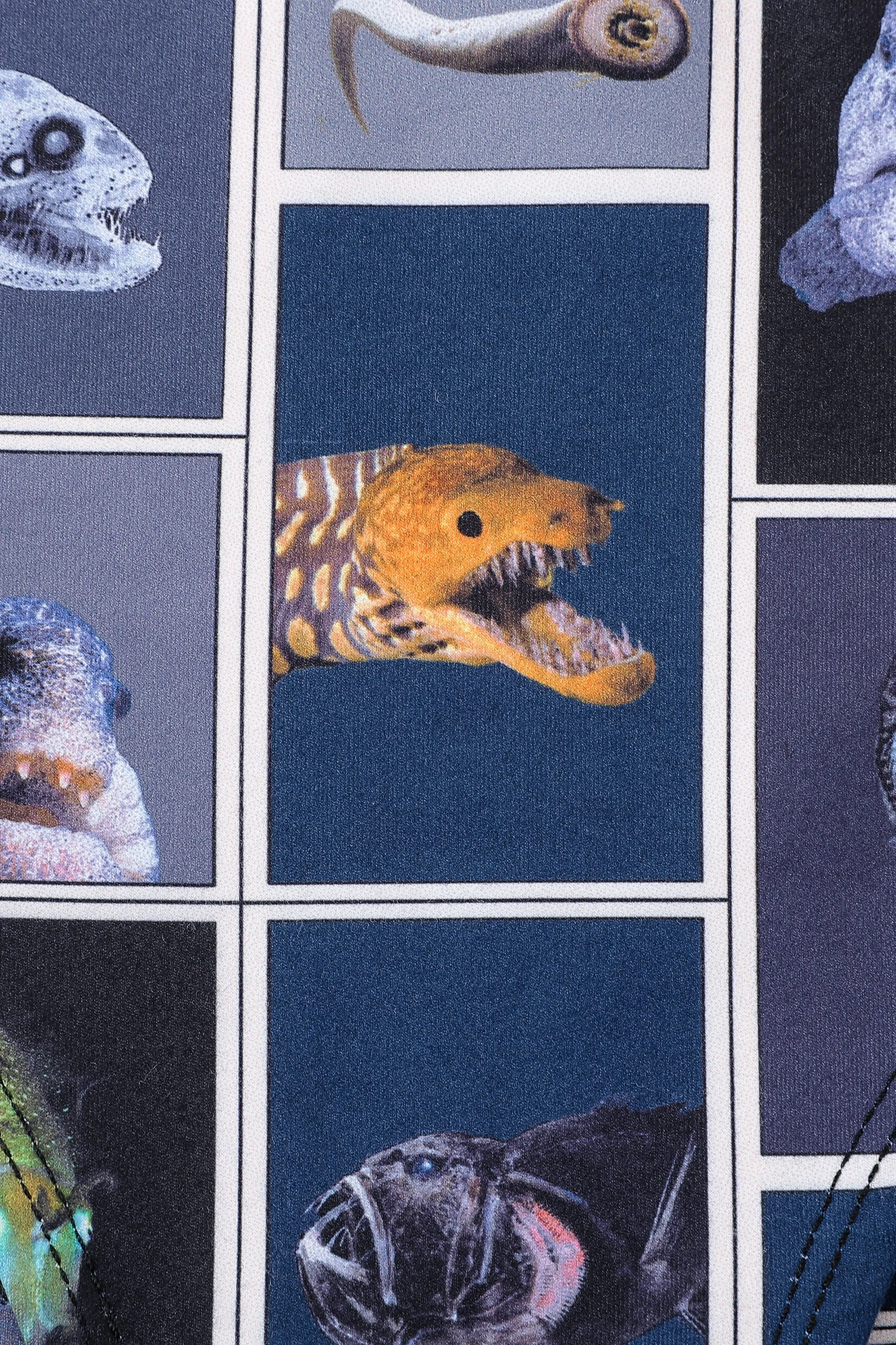 Cuter Fish Cheeky Swim Bottoms sold by Fashion Brand Company product image thumbnail 3