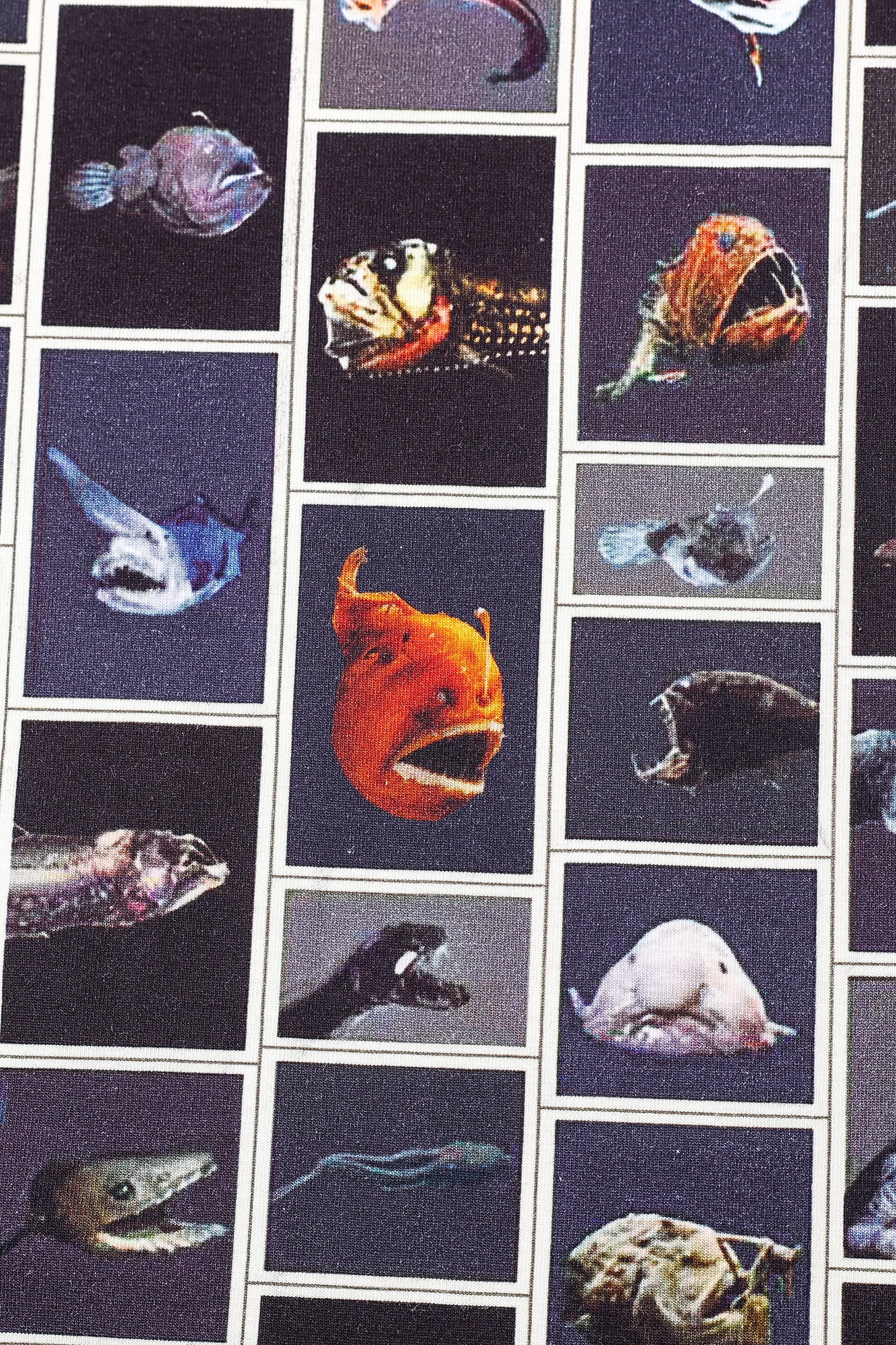 Cuter Fish Kimmie Dress sold by Fashion Brand Company product image thumbnail 3