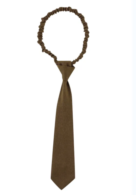 Business Tie in Brown made by Fashion Brand Company
