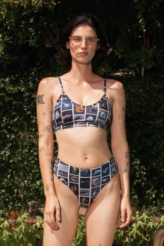 Everyday and Everything Bra Cuter Fish sold by Fashion Brand Company