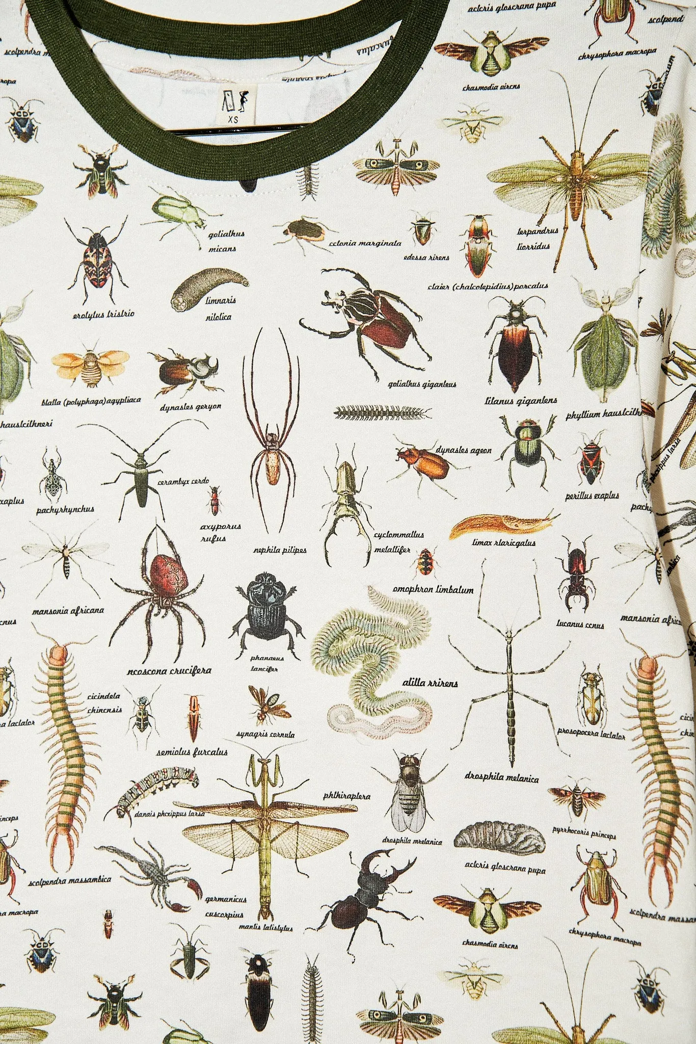 Worst Bugs Tommy Tee - MISPRINT sold by Fashion Brand Company product image thumbnail 2