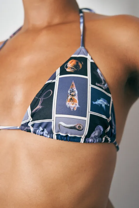 Cuter Fish String Bikini Top made by Fashion Brand Company
