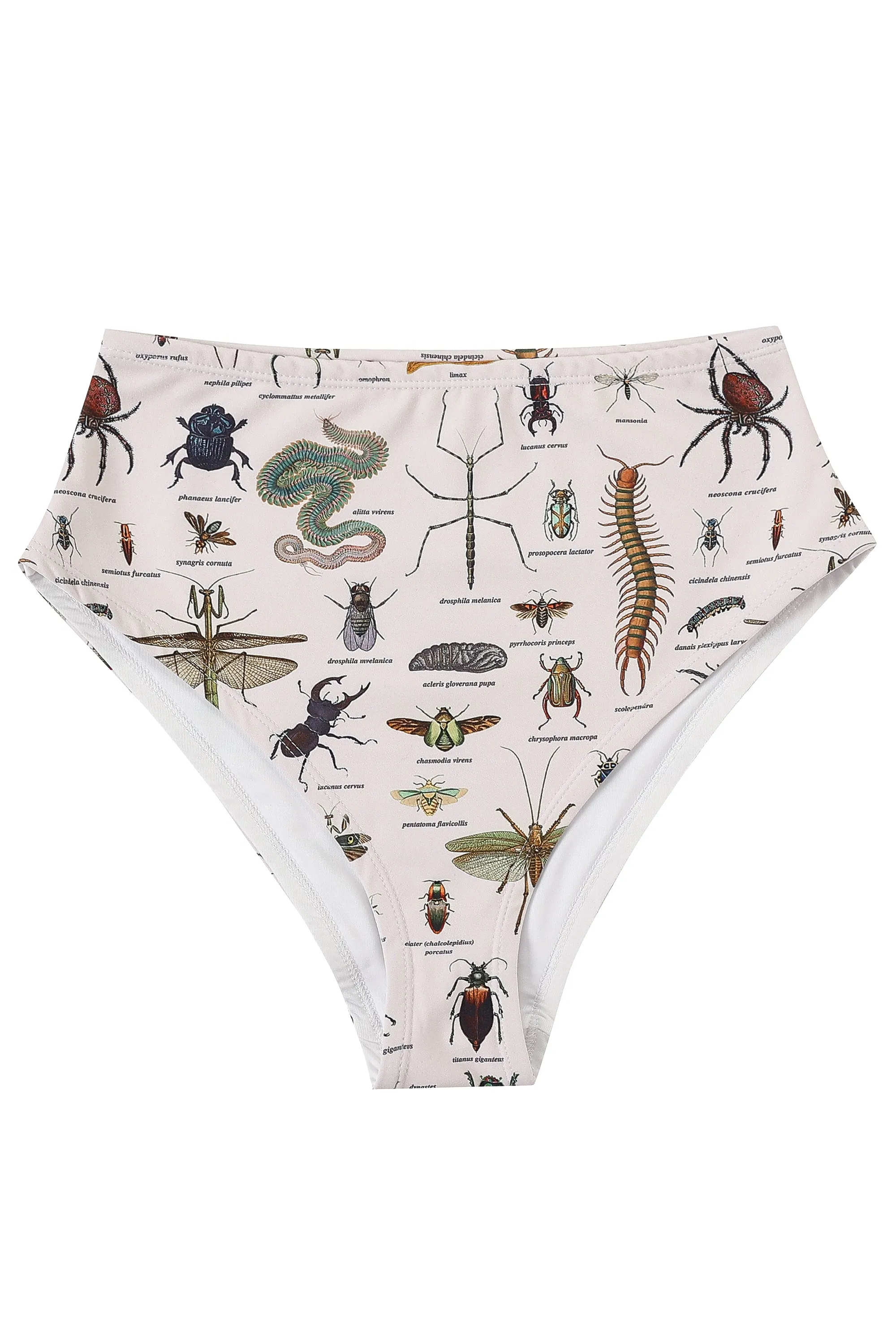 Worst Bugs High Waist Bikini Bottom sold by Fashion Brand Company product image thumbnail 2