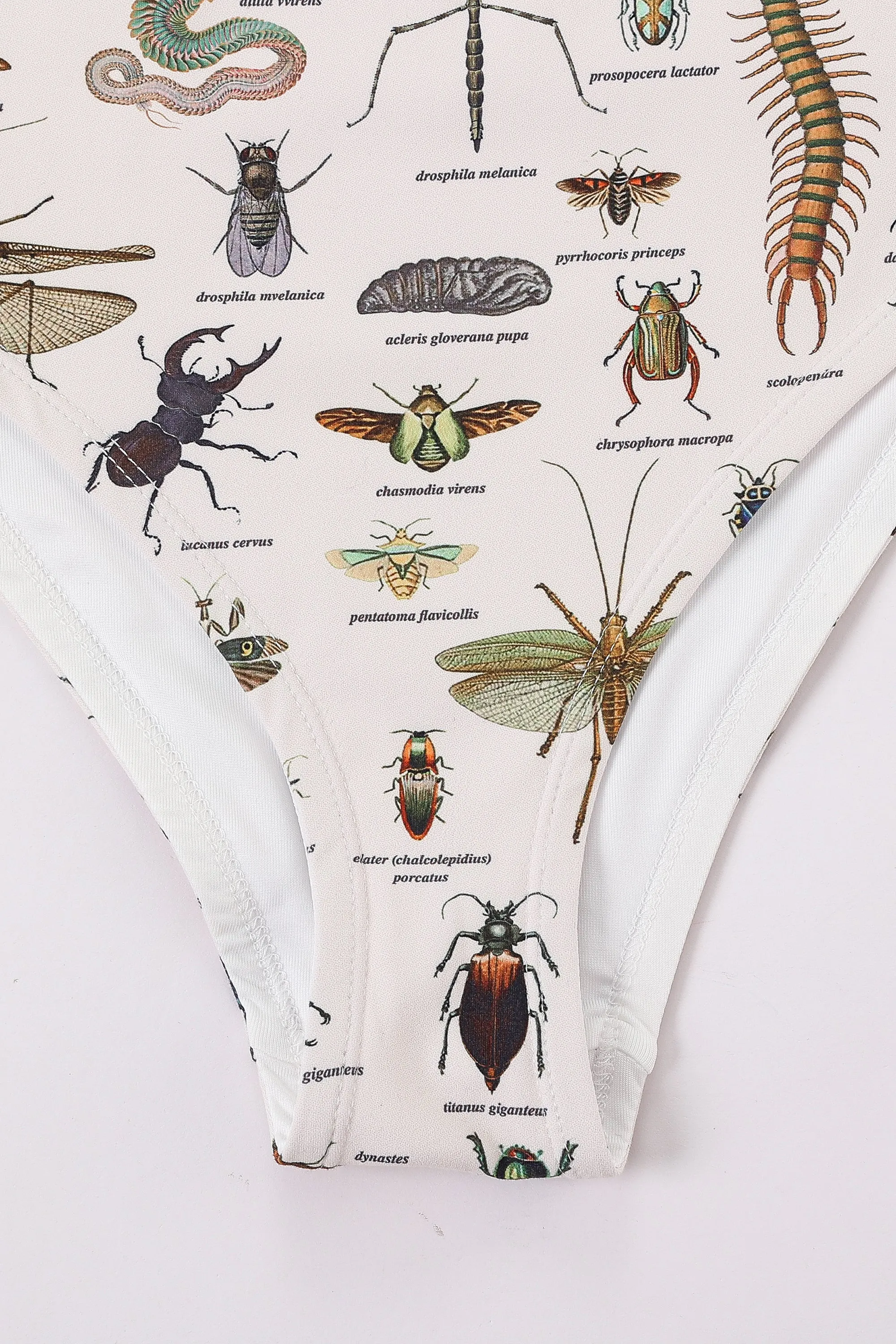 Worst Bugs High Waist Bikini Bottom sold by Fashion Brand Company product image thumbnail 4