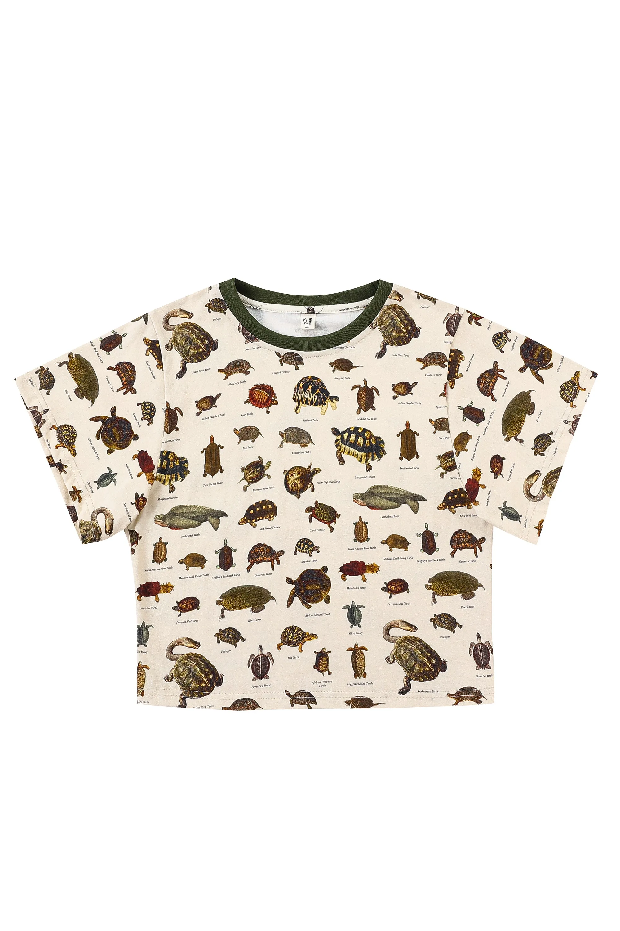 1 left - Turtles Cotton Tommy Tee sold by Fashion Brand Company