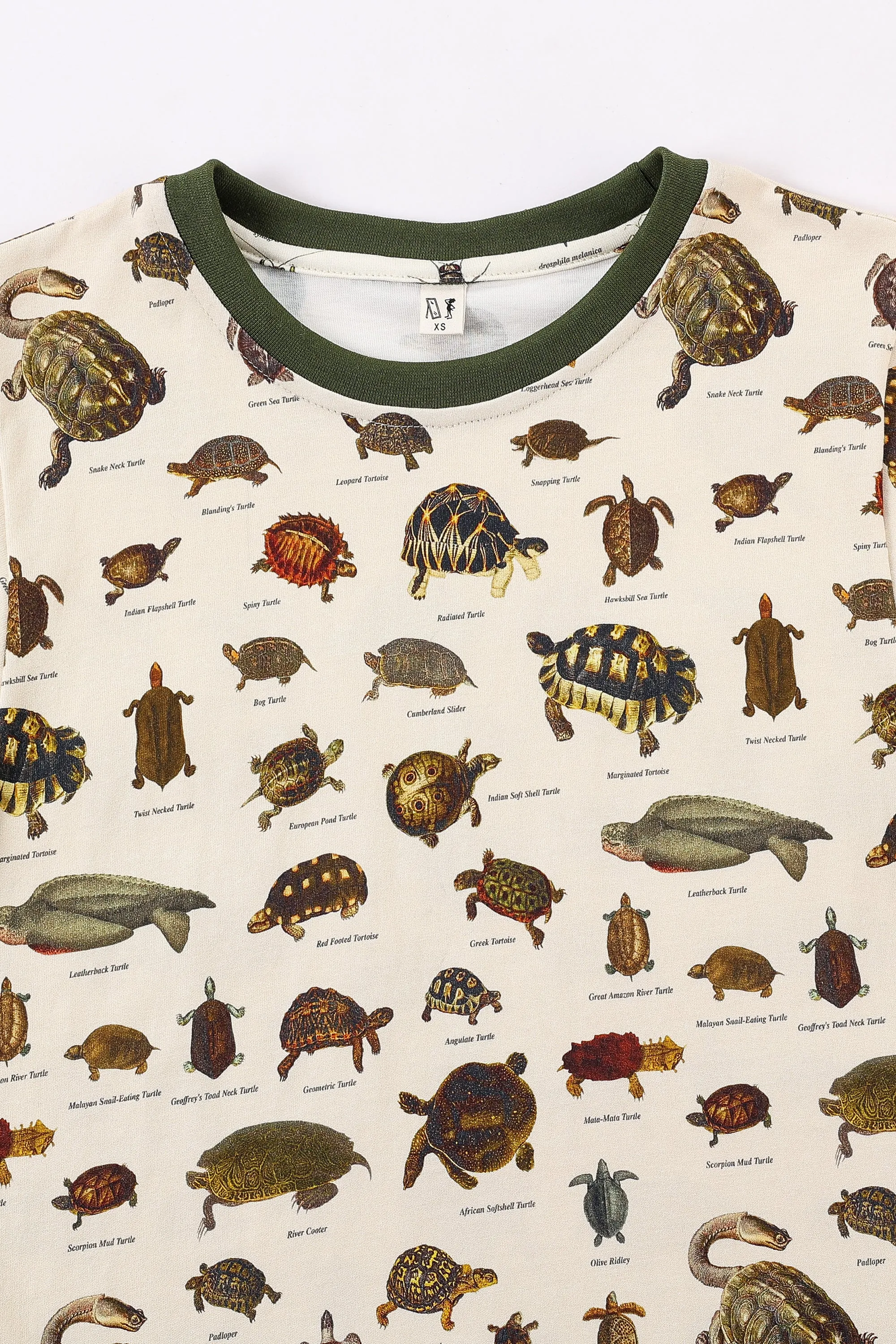 1 left - Turtles Cotton Tommy Tee sold by Fashion Brand Company product image thumbnail 3