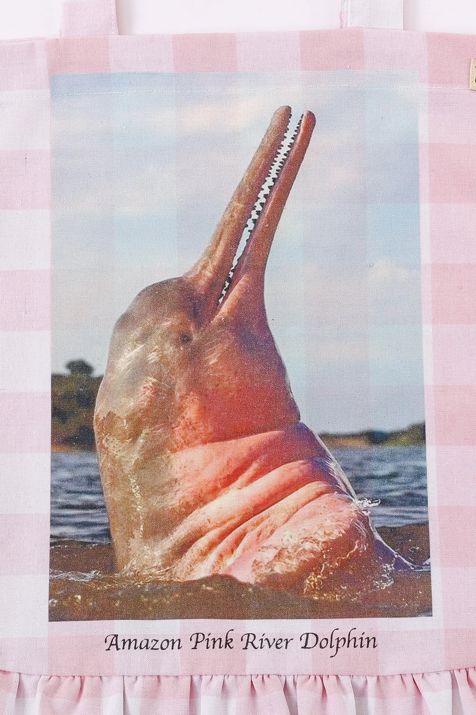 Gingham Amazon Pink River Dolphin Bag sold by Fashion Brand Company product image thumbnail 2