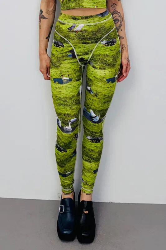 SAMPLE #441 - S Ducks Thong Leggings made by Fashion Brand Company