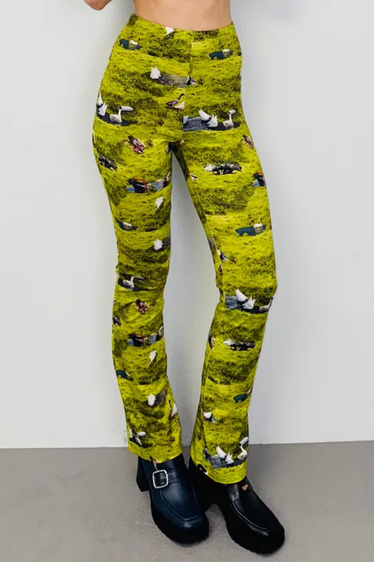SAMPLE #464 - S Ducks Stretchy Pants made by Fashion Brand Company