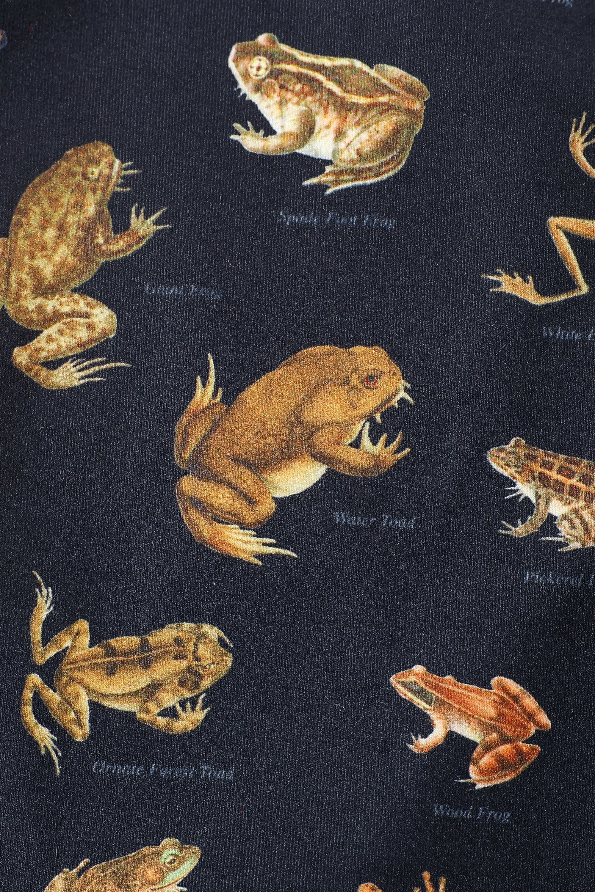 Yoga Shorts Favorite Frogs sold by Fashion Brand Company product image thumbnail 4