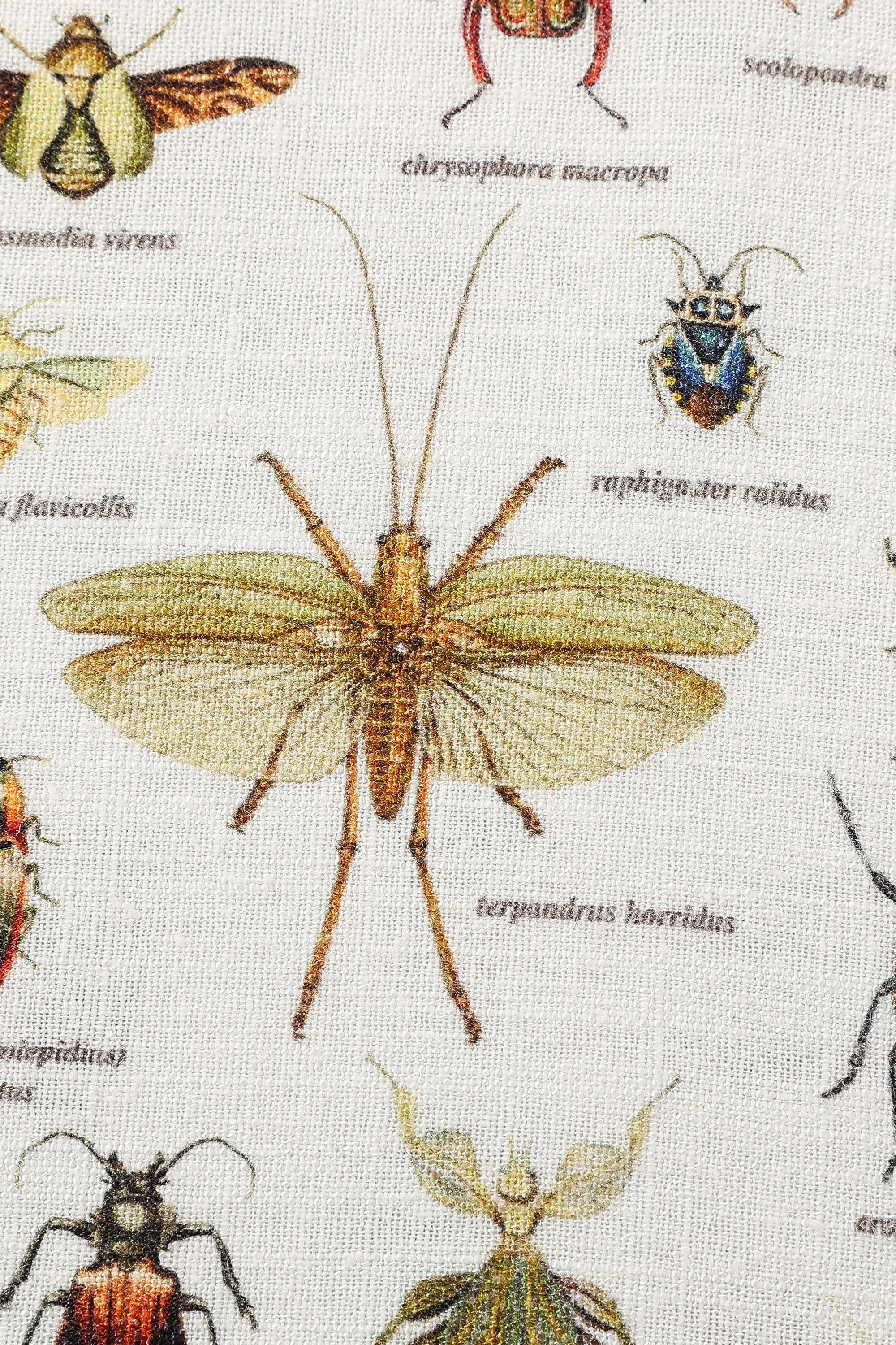 Park Skirt Soft Linen Worst Bugs sold by Fashion Brand Company product image thumbnail 2