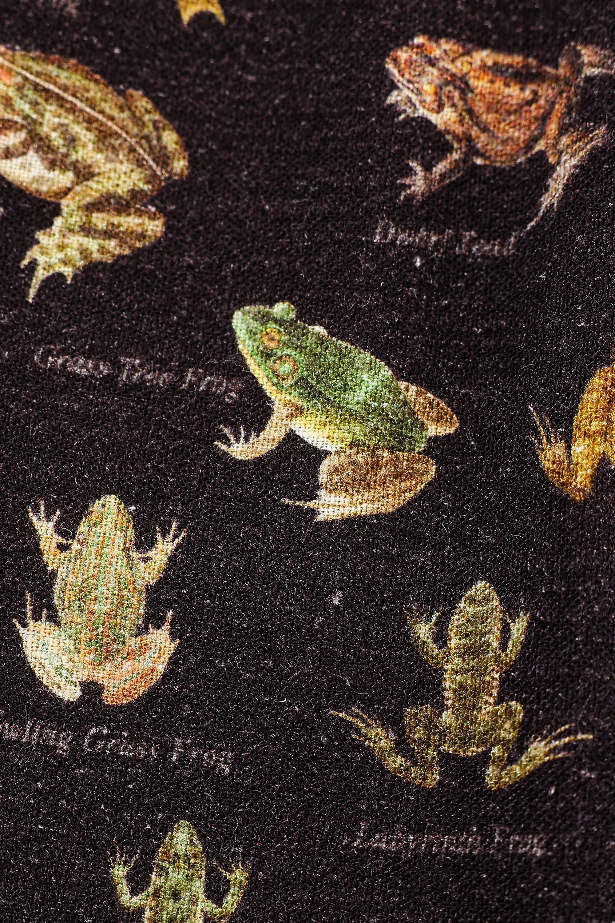 Long Sleeve Smocked Soft Linen Blouse Favorite Frogs sold by Fashion Brand Company product image thumbnail 4