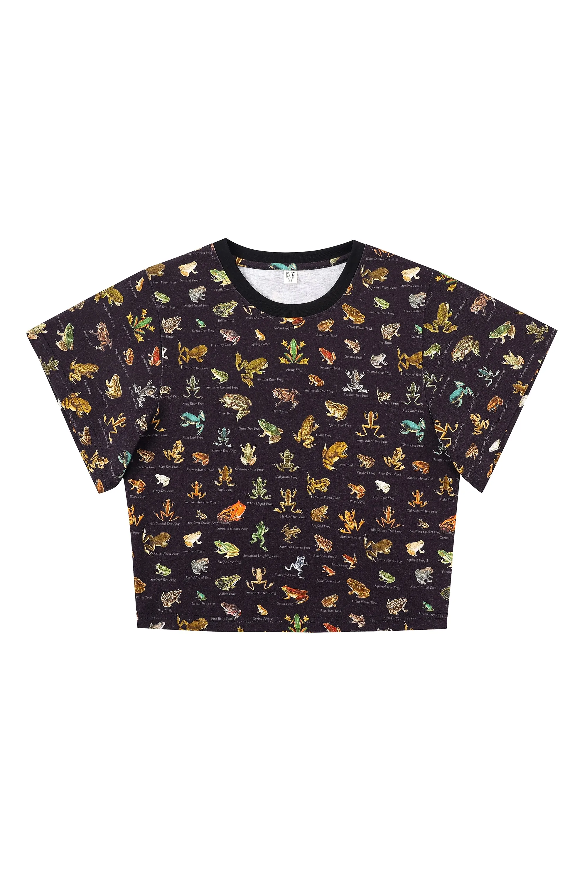 Favorite Frogs Cotton Tommy Tee sold by Fashion Brand Company product image thumbnail 4