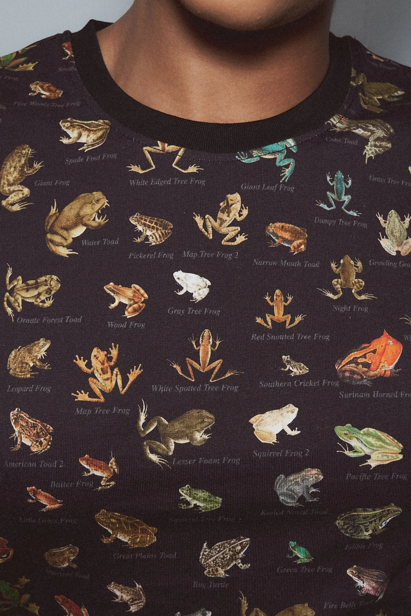 Favorite Frogs Cotton Tommy Tee sold by Fashion Brand Company product image thumbnail 3