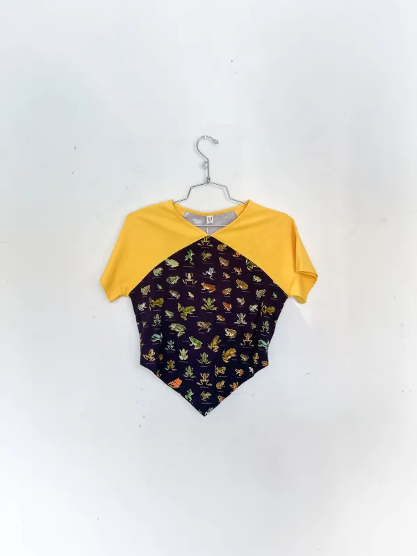 #11: XS Scrap Raglan Tee - Favorite Frogs / Yellow made by Fashion Brand Company
