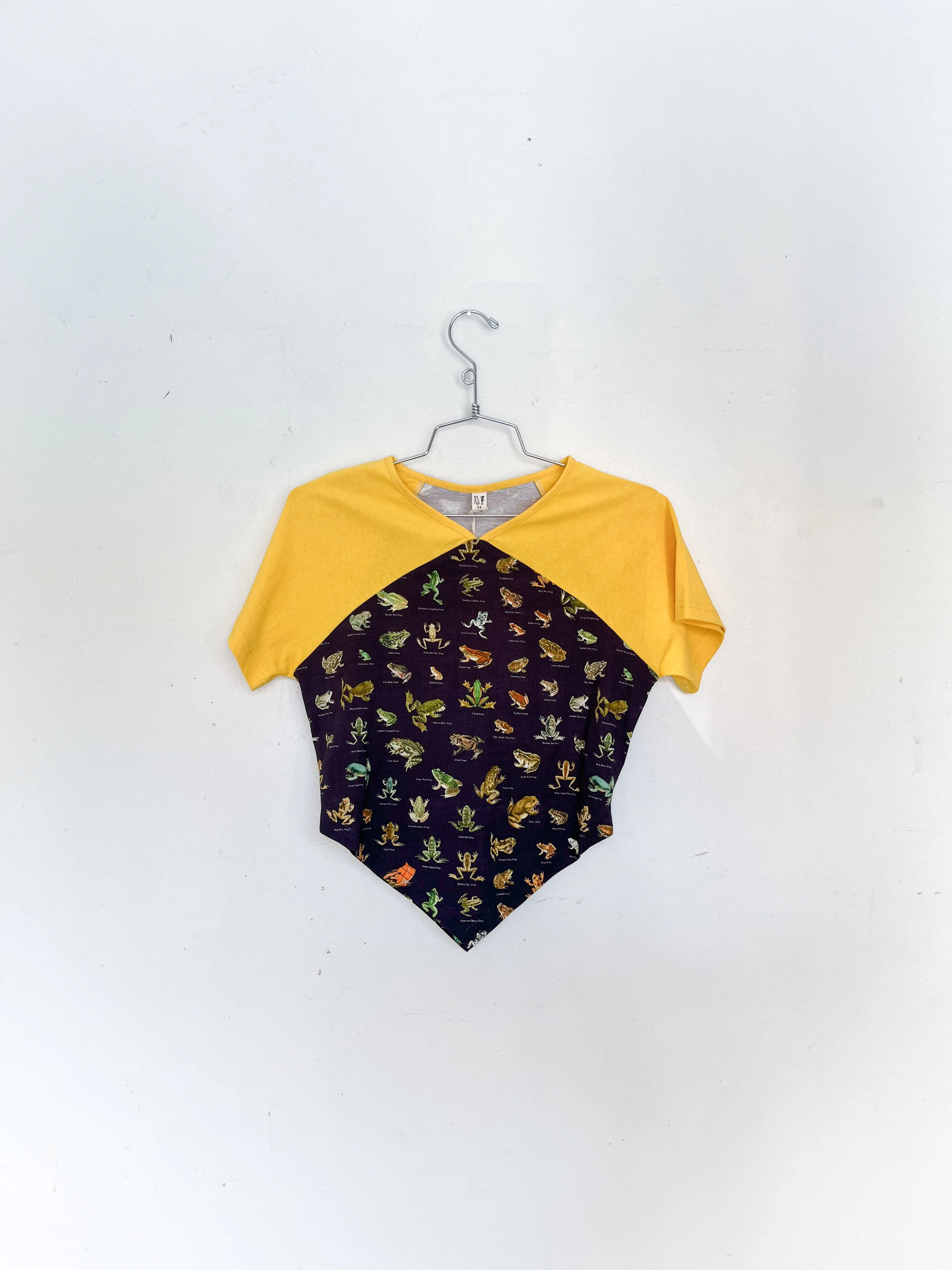 #11: XS Scrap Raglan Tee - Favorite Frogs / Yellow sold by Fashion Brand Company