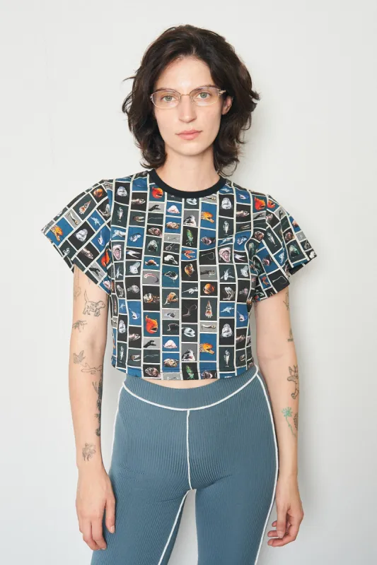 Cuter Fish Tommy Tee sold by Fashion Brand Company