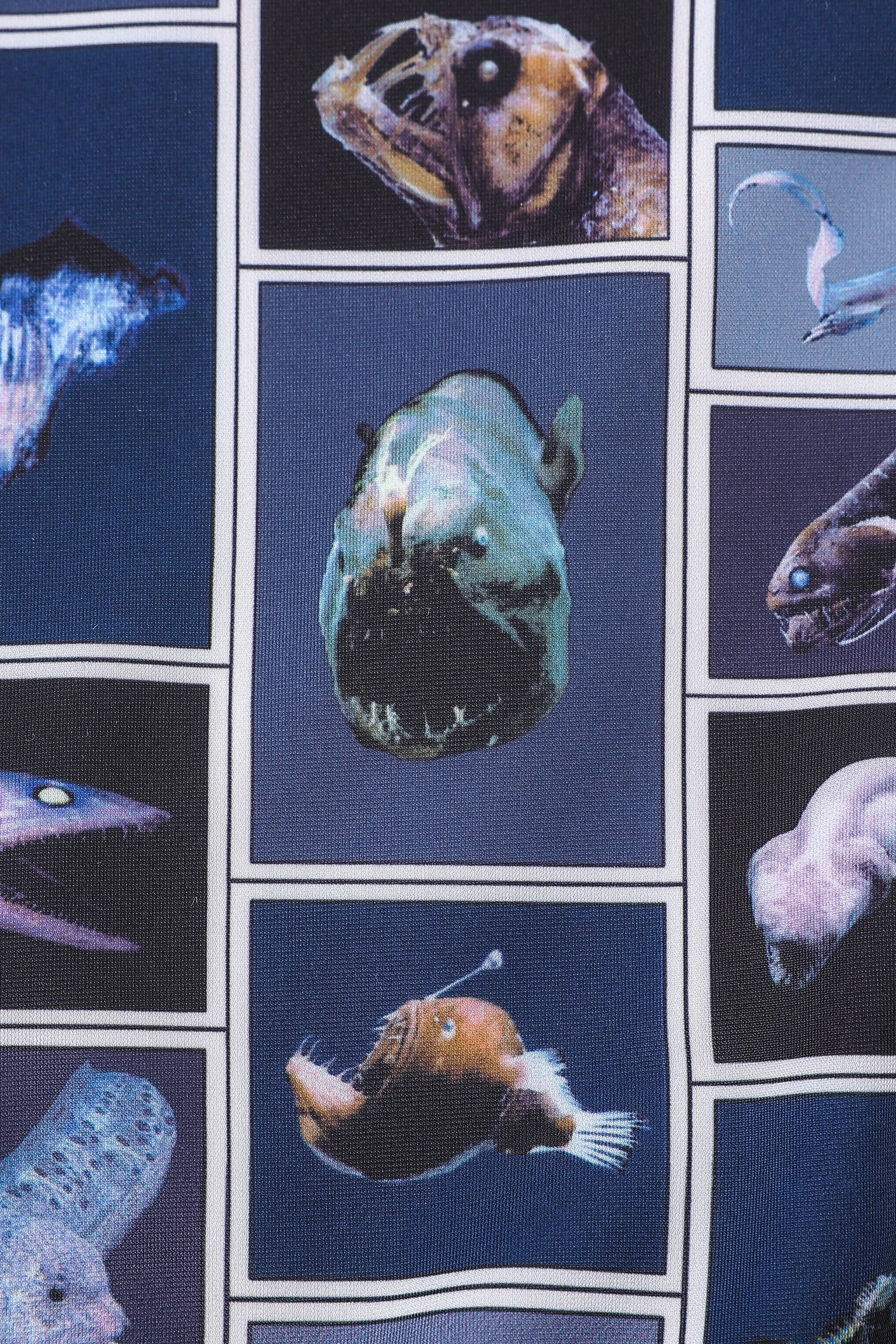 Cuter Fish Cheeky Bikini Bottoms WRONG FABRIC sold by Fashion Brand Company product image thumbnail 2