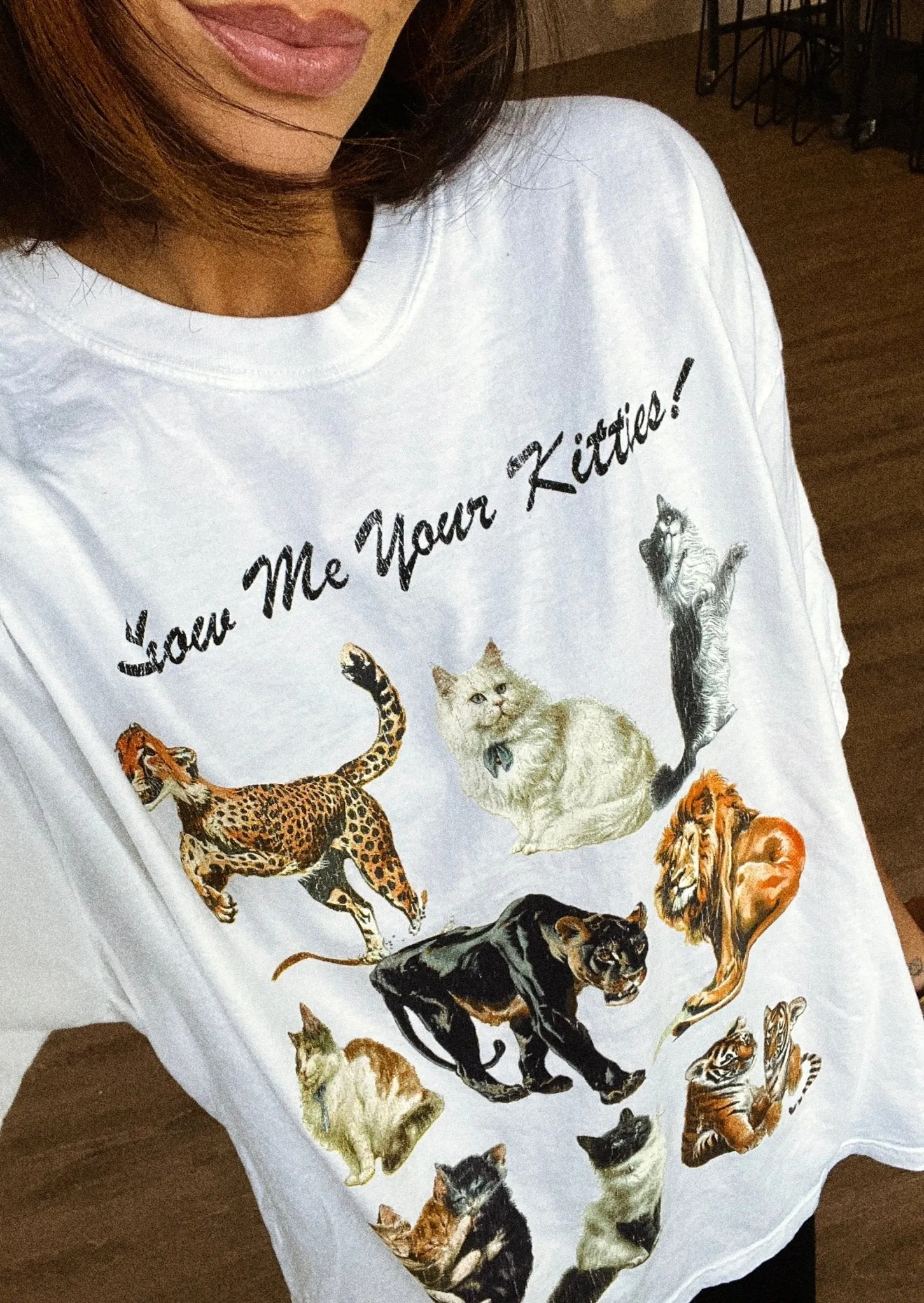 Kitties on Kitties Oversized Tee sold by Dressed In Lala product image thumbnail 2
