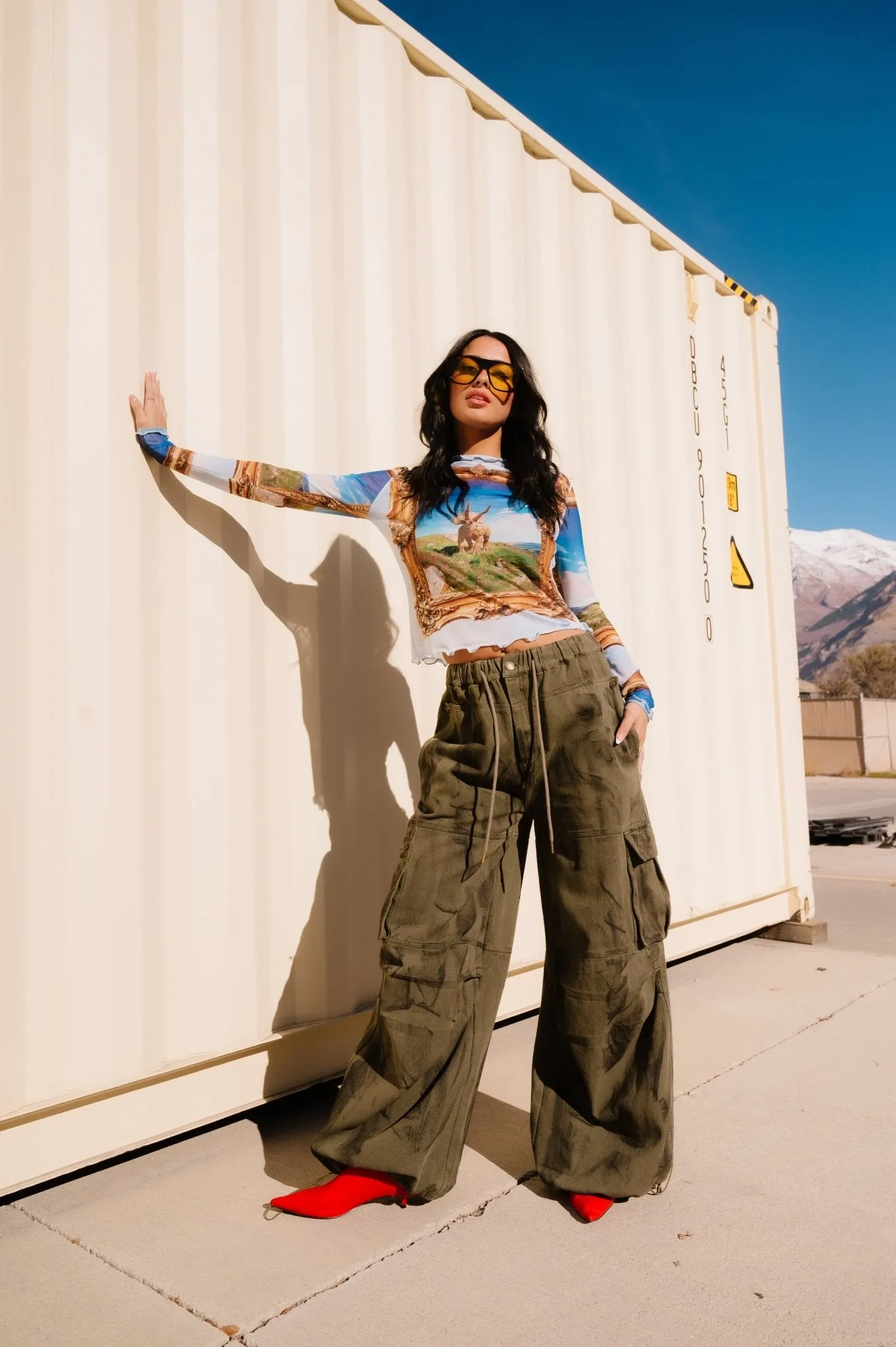 Mesh Top in Dinosaur Dreamscape sold by Dressed In Lala product image thumbnail 4