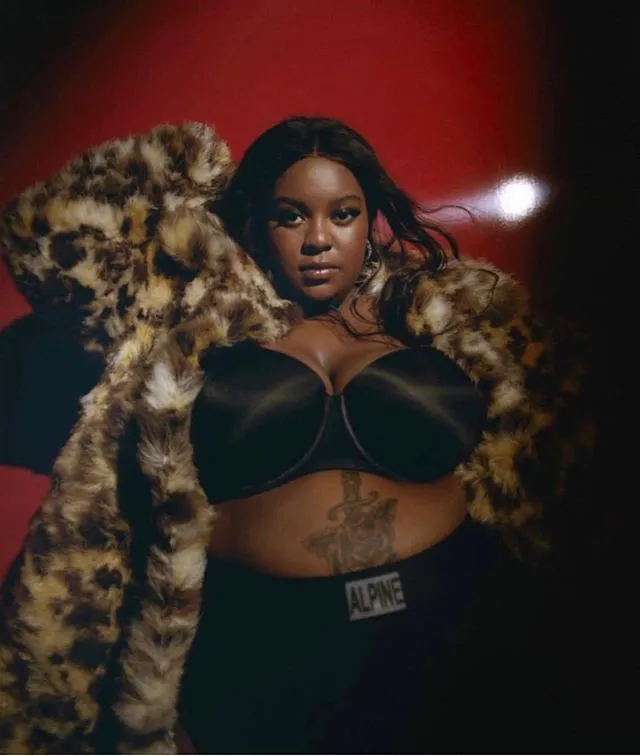 Gianni bikini bottoms sold by Alpine Butterfly product image thumbnail 4