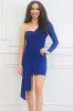 Forget Your Troubles One Shoulder Dress: Royal Blue sold by Bella and Bloom